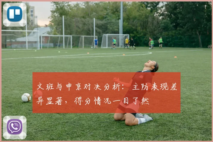 文班与申京对决分析：主防表现差异显著，得分情况一目了然